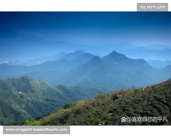 政策利好推动商业保险覆盖业余赛事伤病治疗助力全民健身发展